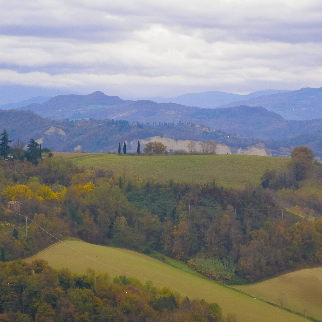 Luoghi di interesse vicino a Borgo House